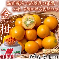 ���n���� �������񂩂� ��4kg S�`L�T�C�Y �{�茧�Y JA����i �L���J���̖{��ň�Ă����Q�̉h�{�ƍ����x�I