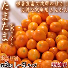 ���܂��� ���n���� ��3kg L�`3�k�T�C�Y �{�茧�Y �󂠂�i JA����i ���x16�x�ȏ�̑�ʂ��񂩂�I�����ȉƒ�p�t���[�c