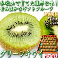 �L�E�C�t���[�c ��3kg 27�`33�� �a�̎R���Y �����K�i �Z���ȊÎ_���ς��ƖL�x�ȉh�{�I