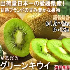 ����O���[���L�E�C ��1.5�`2kg 8�`12�� ���Q���Y �����K�i JA����i �o�חʑS��1�ʂ̈��Q�L�E�C�t���[�c�I�������x16�x�̔��������L�E�C