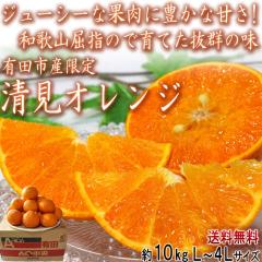 �����I�����W �L�c����� �a�̎R���Y ��10kg M�`4L�T�C�Y �c���݂���̎Y�n�A���󒬓c���n��ň�Ă����Q�̖��I