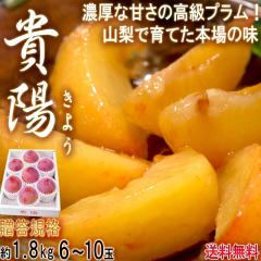 �M�z ���悤 ���I�����v���� ���ϔ����� ��1.8kg 6�`10�� �R�����Y �����i ��ʒ��S �������x17�x�ȏ�I�������ɍœK�Ȗ��킢���Q�̃X��