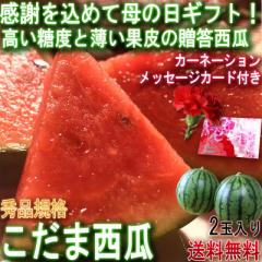 2026 ��̓��M�t�g ���� �X�C�J 2�� �Y�n���I �G�i ���ϔ����� �����i �{�̎Y�n�ň�Ă����킢���Q�̃M�t�g���Z�I �J�[�l�[�V�����E�J�[