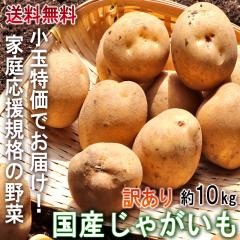 ���Ⴊ���� ���Y ���ʌ��� ��10kg �i�V���Ⴊ����j2S�`M�T�C�Y �󂠂� ��t���Y���S ���{�S�����{�̃W���K�C�������͂��I �Y�n���I