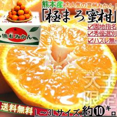 ɂ܂떨 B݂ 10kg L`3LTCY F{Y ʃTCY _ŵ~JIl_ƂňĂ{̃t[c