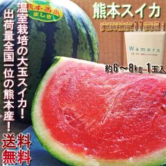 �F�{�X�C�J ��� �F�{���Y �g�� ��6�`8kg 1�ʓ��� �����K�i �������x11�x���I �����͔|�̑�ʃX�C�J