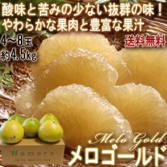 S[h 4.5kg 4`8 ʌ JtHjAY Ki ݂Ǝ_̏ȂQ̖킢IO[vt[c~|z