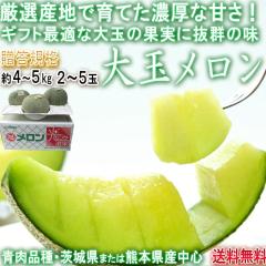  4`5kg 2`5 G D AiKi EF{YS AfXEIgE^J~ELX~[ In`͔| \ȏ{̃