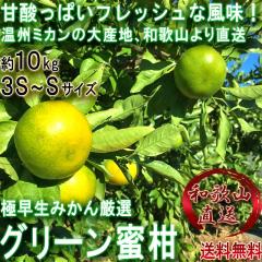 �Y�n���� �O���[������ ��10kg 3S�`S�T�C�Y �a�̎R���Y ���ʌ��� �u�₩�ȊÎ_���ς��ƈ���ʏ`�I�V�N�ȏ{�̋ɑ����݂���