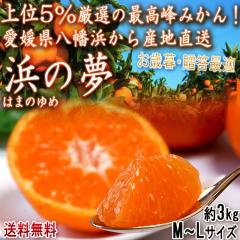 Yn l̖ B݂ 3kg M`LTCY Gi QY i Q̑YnAl璼IōŇIMtg 