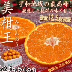 ���������x13.9�x�I ������ �݂��񂨂� �����x�~�J�� ��2.5kg S�`L�T�C�Y �����K�i ������u�����h�F�� ���x12.5�x�ۏ؂̍����t���[�c�I