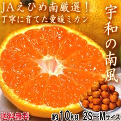 Fa̓앗 ݂ ɑEBi 10kg 2S`MTCY QY JAЂߓɂČIIЂ߂ւ{̖