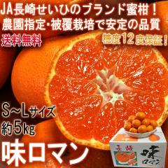 } B݂ 5kg S`LTCY 茧Y x12xۏ JA肹 xZT[Iʂ̃uh