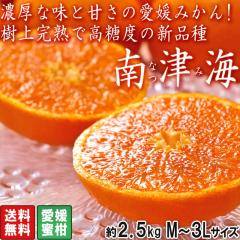 ��ÊC �Ȃݖ��� ��2.5kg M�`3L�T�C�Y ���Q���Y �J���}���_�������琶�܂ꂽ�V�i��I�Z���ȊÂ��̈��Q�݂���