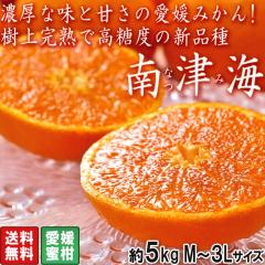 ��ÊC �Ȃݖ��� ��5kg M�`3L�T�C�Y ���Q���Y �J���}���_�������琶�܂ꂽ�V�i��I�Z���ȊÂ��̈��Q�݂���