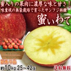 ������� �T���t�W�ь� ��10kg 25�`42�� ��茧�Y �󂠂�i �ƒ�p �Z���Ȗ��Ɩ�����̉ʓ��I���������d���̊����