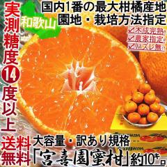 芮n Lc݂ {쉀 10kg a̎RY 󂠂i _w薨 x14x̔ZȖILcňl_Ƃ|