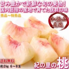 �Y�n���� �I�̗��� ��2kg 6�`8�� �����K�i �a�̎R���Y ���G�i�`�G�i ���x�Z���T�[�Ō��I�������Q�̖��I�M�t�g�œK�ȏ{�̃t���[�c