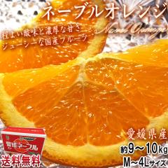 ���Y�l�[�u���I�����W ��9�`10kg M�`4L�T�C�Y ���Q���Y JA����i �������x14�x���I ���ʗʂ̏��Ȃ��M�d�ȍ��Y�t���[�c