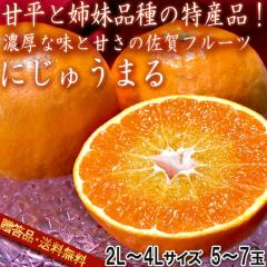 �ɂ��イ�܂� ��ʌ��� 5�`7�� 2�`4L�T�C�Y ���ꌧ�Y �����K�i �Õ��Ǝo���i��̓��Y�i�t���[�c�I�v�`���Ƃ����H���ɔZ���Ȗ��ƊÂ�