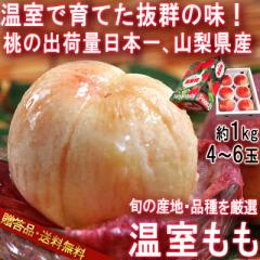 ���� �� ��1kg 4�`6�� �R�����Y �����i ���ϔ����� ���킢���Q�̃v���~�A���M�t�g�I�������ʎ��ɃW���[�V�[�ȐH��