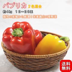 �p�v���J 2�F���� ��4kg 12�`20�� �؍���p�� �h�{�L�x�ȊC�O�Y�p�v���J�I�l�X�Ȃ������Ŏg����Ė�؁y��؃\�����G/�t���[�c�}�C�X�^�[