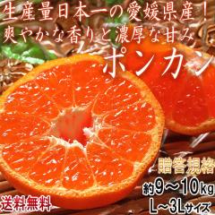 �|���J�� ��9�`10kg L�`3L�T�C�Y ���Q���Y �����K�i JA����i �T���߂Ȏ_���Ǝ�Ŕ�����ʔ�I����ƊÂݖL���Ȉ��Q�����̊��k