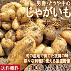 ���Ⴊ���� �j�݁E�Ƃ��⒆�S ��10kg M�`3L�T�C�Y ��t�E��錧�Y ��e�� �l�X�Ȃ������Ɏg���邨���ȍ��Y��؁I