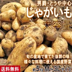 ���Ⴊ���� �j�݁E�Ƃ��⒆�S ��5kg M�`3L�T�C�Y ��t�E��錧�Y ��e�� �l�X�Ȃ������Ɏg���邨���ȍ��Y��؁I