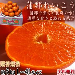 ���S�ꂢ���� ��g�^���S�[�� ��5kg L�`4L�T�C�Y ���m���Y �����K�i JA���S�s�ɂČ��I�����������k�I�������x�Ɣ������ʔ�̃M�t�g�t���[