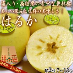 �͂邩 �����艩�ь� ��3kg 7�`13�� ���G�i �R�`���Y �����i JA�����������R �������w�̂�񂲎Y�n���ւ鍂�����x�Ɣ��Q�̖��I
