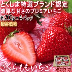 ��������������� 200g�~4�p�b�N���� �������Y �����K�i JA�����s �Ƃ����ܓ��I�u�����h�̍����t���[�c�I�������x�ƔZ���Ȗ��킢�̃v���~