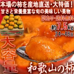 �Y�n���� �a�̎R�̊` ��7.5kg �a�̎R���Y �󂠂�i JA����i �G�߂��Ƃɏ{�̕i������I�I�{��ň�Ă����Q�̔�������