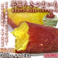 ���x�肳�܂��� ���܂͂Â��E�g�͂邩�E�V���N�X�C�[�g�Ȃ� ��10kg ��t���E��錧�Y �󂠂�i �{�̂����������ꑫ��ɂ��͂��I������
