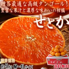 ���Ƃ� ��5kg M�`4L�T�C�Y �����K�i ���Q���Y �Â݂Ɖʏ`�L���ȍ����~�J���I�M�t�g�œK�Ȉ��Q�̐V�i��