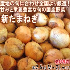 �V���܂˂� �ʔK ��2.5kg M�`2L�T�C�Y ���ꌧ�Y���S ��e�ʂ̂����ȍ��Y��؁I�V�N�ȏ{�̖������͂�