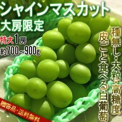��[�V���C���}�X�J�b�g �햳������ ����1�[ ��700�`900g �R�����Y���S �����K�i JA����i ���ϔ����� �炲�ƐH�ׂ鍂���Ԃǂ��I�Z���Ȋ�