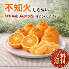 �s�m�� JA���܂��� ��2.5kg 7�`12�� �F�{���Y �����K�i ����ʂ� �Z���ȊÂ��ƒ��悢�_���̐l�C�i��I�{��ň�Ă����Q�̖�