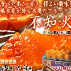 �s�m�� ����ʂ� ��� ��5kg 12�`20�� �F�{���Y �����K�i JA���܂��� �Z���ȊÂ��ƒ��悢�_���̐l�C�i��I�{��ň�Ă����Q�̖�