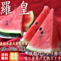 ���c �炨�� ���n�X�C�J ��8�`10kg 4L�T�C�Y���S 1�ʓ��� �F�{���Y �����K�i �_�ѐ��Y��b�܎�܂̐ԓ����Z�I����Â��ƃV������