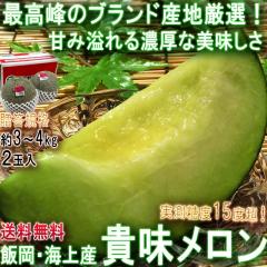 �M�������� �щ��E�C��Y ��3�`4kg 2�ʓ��� �����K�i ��t���Y �������w�̃������Y�n�ň�Ă��M�t�g�ʕ��I�Z���ȊÂ��Ɣ��Q�̖�