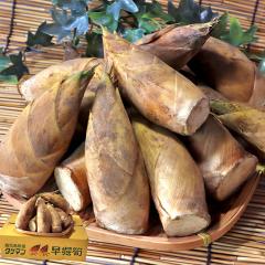 ���x��� �������̂� ��2kg 12�`18�{ ���������Y �����݂��Ȃ����炩���{�̖������͂��I