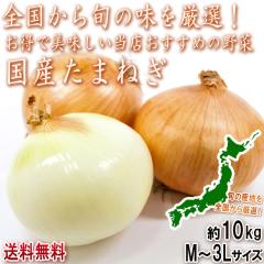 ���Y���܂˂� ��10kg M�`3L�T�C�Y �k�C���Y���S �S������{�̎Y�n�����I���Ă��͂��I�{��ň�Ă���؂��e�ʂł��͂�