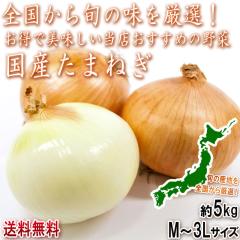 ���Y���܂˂� ��5kg M�`3L�T�C�Y �k�C���Y���S �S������{�̎Y�n�����I���Ă��͂��I�{��ň�Ă���؂��e�ʂł��͂�