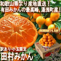 Yn c݂  10kg 2S`MTCY a̎RY 󂠂i Lcñ~J͔|KnIōuh