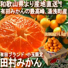 �Y�n���� �c���݂��� ���� ��10kg M�`2L�T�C�Y �a�̎R���Y �󂠂�i �L�c�n��̃~�J���͔|�K�n�I�ō���u�����h����