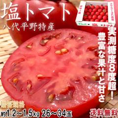 ���g�}�g �����x�t���[�c�g�}�g ��1.2�`1.5kg 26�`34�� �F�{���Y �����K�i ���ʒ��S �g�}�g�̐��Y�ʓ��{��̌F�{�����Y�g�}�g�I