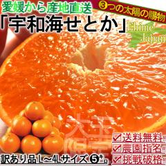 �Y�n���� ���Ƃ� �󂠂� ��5kg L�`�SL�T�C�Y ���Q���Y ���F�a���ւ�{��̖��킢�I�N�x���Q�̍������k���T�C�Y�����E�ƒ�p�����ł��͂�