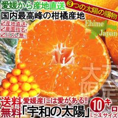 �Y�n���� �݂��� ���Q ��10kg �F�a�̑��z ��ʌ��� L�`3L�T�C�Y ���k ���B�~�J�� ���� 3�̑��z �Ƃ肽�Ċ��n����