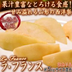 Yn EtX m 5kg R`Y 󂠂i Ȃ߂炩ȐHƊÂݖLȖ{̖IȉƒptX